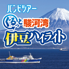 バンビツアー ぐるっと駿河湾 7色スポットでめぐる伊豆ハイライト