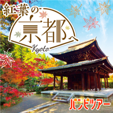 バンビツアーで紅葉の旅へ♪