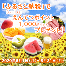 ふるさと納税キャンペーン